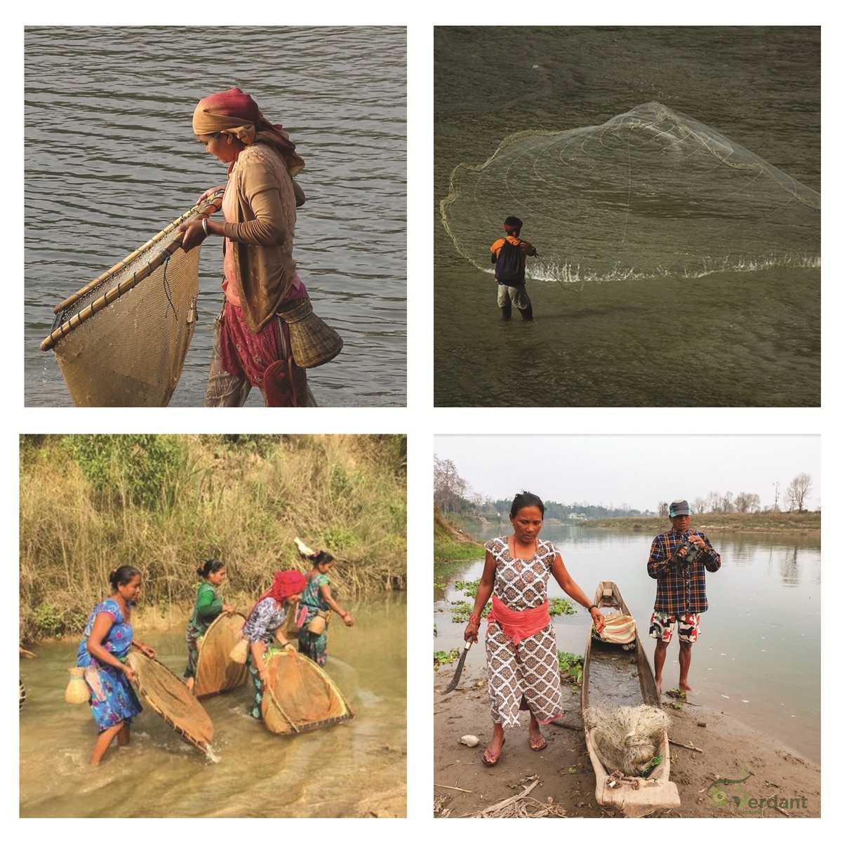 Imarina International Fisheries A: The Rise of Sustainable Aquaculture