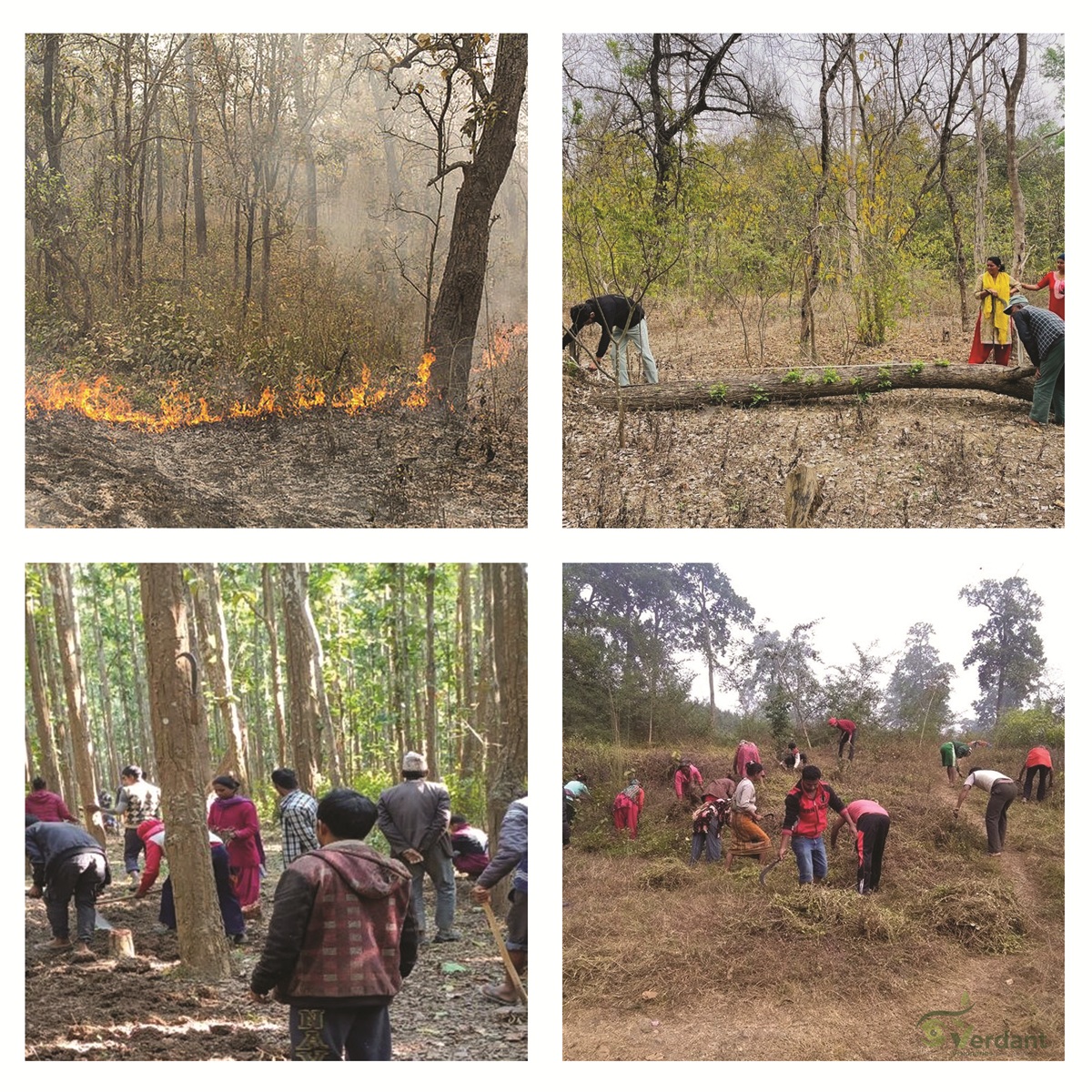 Ecosystem-Based Adaptation (EbA)