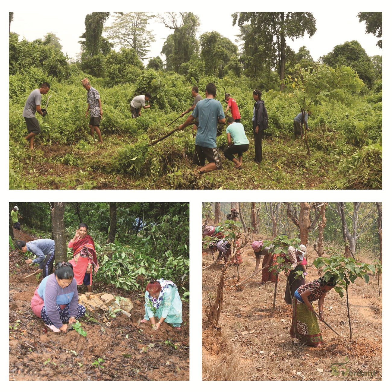 Ecosystem Restoration and Habitat Conservation