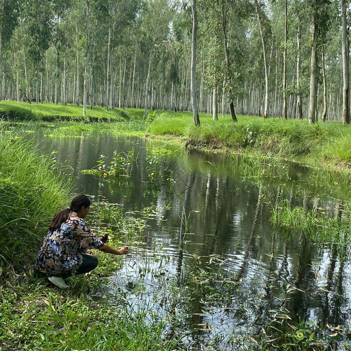Ecosystem Restoration and Habitat Conservation